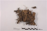 藏品(地卷屬)的圖片